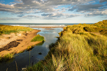 Dunbar Burn passes through Druridge Dunes, located on the North Sea in Northumberland's AONB in England, it is a 7 miles long bay between Amble and Cresswell