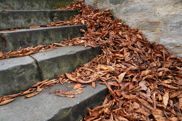 blown away by the wind