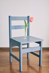 Pink Tulip in Glass Vase on Blue Wooden Chair