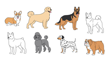 Cute cartoon illustrations of popular dog breeds including Corgi, Golden Retriever, German Shepherd, Akita, Poodle, Dalmatian, and Bulldog.