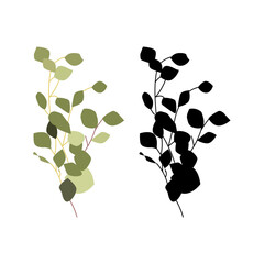 Elegant vector illustration of eucalyptus branches with green leaves. Minimalist botanical design perfect for invitations, branding, packaging, posters, and natural-themed decor.