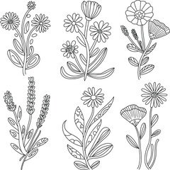 Vector seamless floral pattern with vintage blooming flowers, leaves, and ornate branches for nature wallpaper design