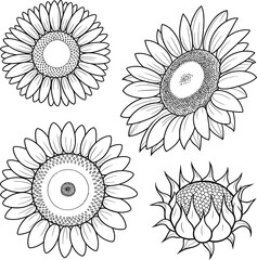 A colorful set of vector flowers and floral elements for seamless summer pattern design and decoration