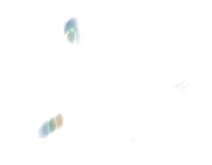 Light Leak Overlay Effect With Blur Rainbow Light Leaks And Bokeh Classic Dusty Analog Style