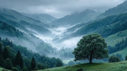 Foggy Mountain Valley Landscape with Tree on Hillside in the Foreground