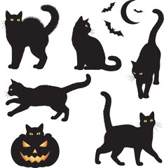halloween cat and bats