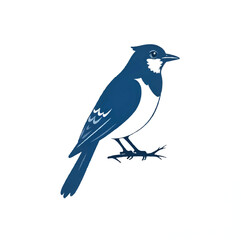 Illustration of blue and white magpie in a simple illustration