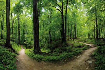 Fototapeta premium Verdant Forest Path Bifurcation with Sunlight Filtering Through Green Canopy in Daytime Scenery