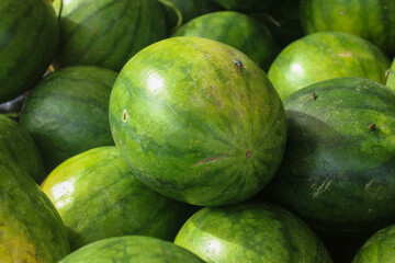 a pile of fresh green watermelons with bright green skin