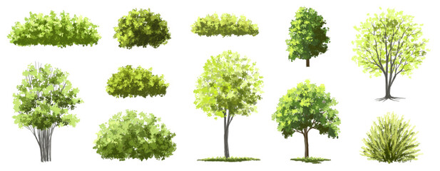 Vertor set of green tree,plants side view for landscape elevations,element for backdrop,eco environment concept design,watercolor greenery scene