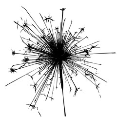 Sparkler Explodes Celebration with Radial Burst