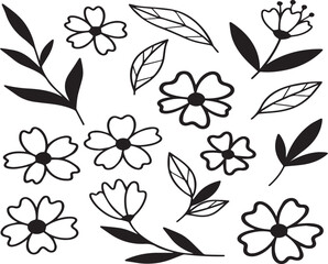 Collection of hand drawn black and white floral elements and botanical illustrations on a white background