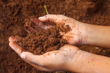 small child's hands playing in the mud