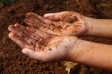 small child's hands playing in the mud