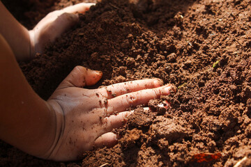 small child's hands playing in the mud