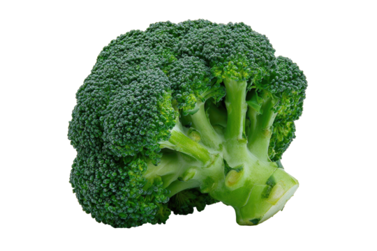 Fresh broccoli head, vibrant green (2)
