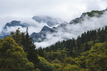 Beautiful view mountain with mist on the sky, snow mountain, peak of mountain and some clouds at Changpinggou Trail, Four Girl Mountain, Sichuan of China. color effect, low key and soft focus.