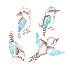 Kookaburra birds set hand drawn with watercolor. Australian birds clip art. Design elements for card, invitation, banner