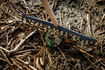 Rake collecting debris from muddy ground