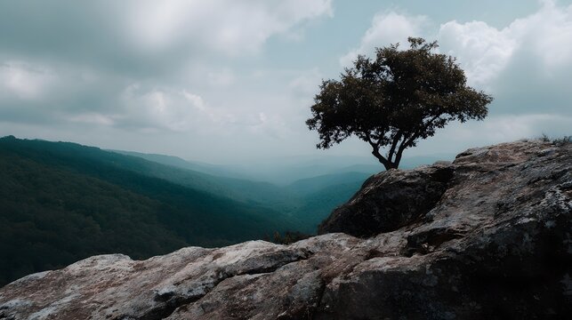 A solitary tree stands on a rocky cliff overlooking a vast misty mountain valley under a cloudy sky - Powered by Adobe