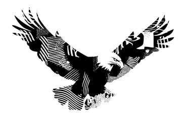 Eagle Soars Illustration