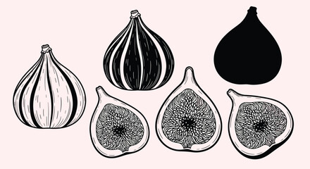 Collection of black and white illustrations of figs, including whole and halved fruits, on a light pink background.
