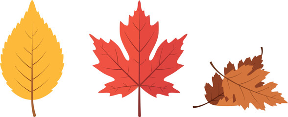 Obraz premium Simple Illustration of Three Autumn Leaves