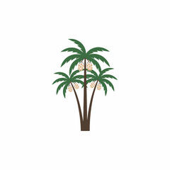 Obraz premium Palm Trees with Coconuts Illustration for Tropical Vibe