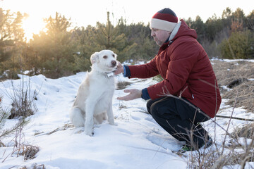 man and his white dog walking in a snowy park or forest at sunset in winter. A nature walk with a beloved pet. Friendship between people and animals.