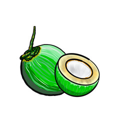 Fresh Green coconut display in two style it is full and a half cut