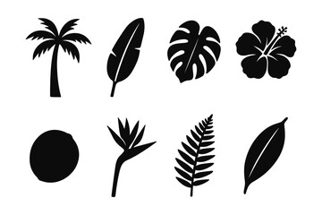 Tropical plant and leaf silhouettes set for nature design projects