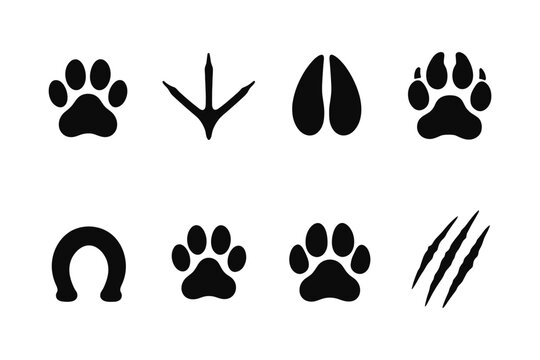 Animal footprint icons collection in black silhouette style across various species