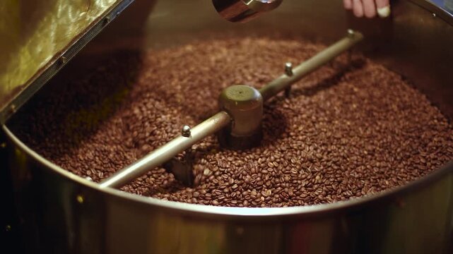 Fresh roasted coffee beans spinning in a professional roaster. Aromatic brown beans in motion &mdash; artisanal coffee production process in high quality close-up footage.