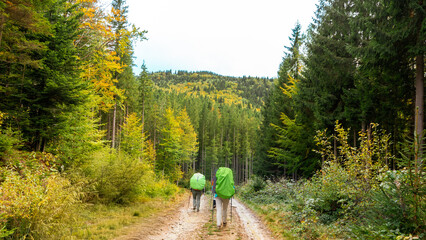 Female tourists with large backpacks walk along a trail against the backdrop of mountains and autumn forest, travelling and hiking in the mountains