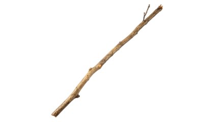 Long thin stick lying on a flat surface ready for crafting or outdoor play in a natural setting during daylight on a transparent background
