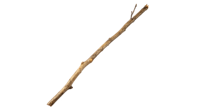 Long thin stick lying on a flat surface ready for crafting or outdoor play in a natural setting during daylight on a transparent background