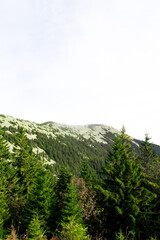 Fototapeta premium view of the mountain range covered with rocks, Carpathians, Gorgany, Sinyak ridge