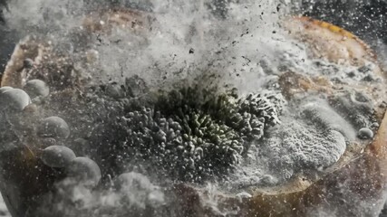Mold growth on a decaying orange fruit in a close up shot