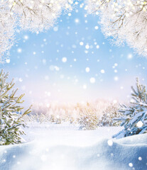 Frost on the trees. Festive Christmas card with snow covered trees. Snow in the winter forest.