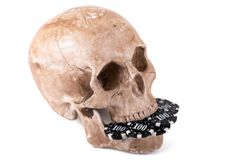 Obraz premium Human skull and casino betting chips on white background