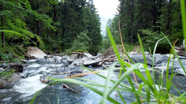 Static drone footage from a floodwater gate, showing the water flow and fallen trees dragged by the river current