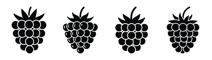 raspberry minimal flat icon set, black color and white background
