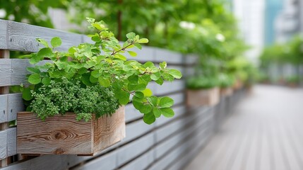 Detailed photo of vibrant green foliage in rustic wooden planters mounted on a grey textured fence with a blurred urban pathway and buildings in the background.