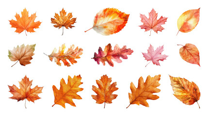 Obraz premium PNG Watercolor autumn leaves collection, element set on transparent background