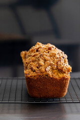 delicious pumpkin bread on dark background close up