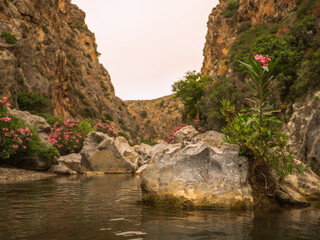 Palmtree garden of Preveli Beach