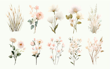 Set of hand-painted watercolor florals and dried grass bouquets in blush pink and soft white, perfect for invitations, weddings, and decorative designs