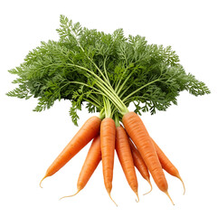 Vibrant bunch of fresh carrots with lush green tops, perfect for healthy eating and culinary inspiration, captured in stunning detail.