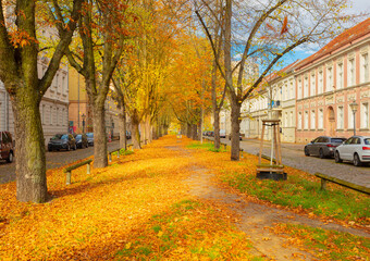 Herbst in Potsdam. Historische Gr&uuml;nderzeit - Fassaden unter Denkmalschutz in der Potsdamer Kiezstr. Herbstlaub und Strassenb&auml;ume im Potsdamer Kiez | Potsdamer Nachmittag, Herbsstimmung mit Herbstlaub