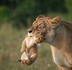The magic of Masai Mara